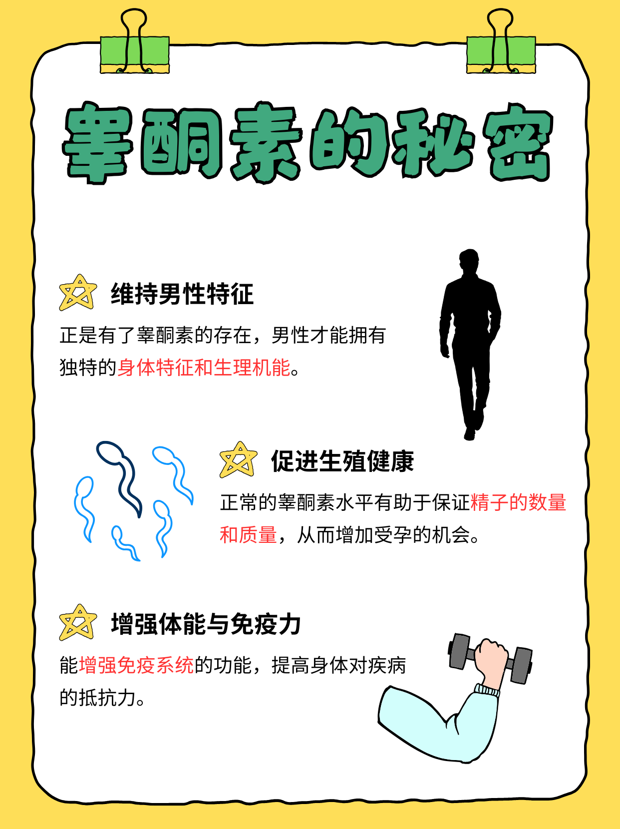 Testosterone measurement (What item is the testosterone measurement checked)